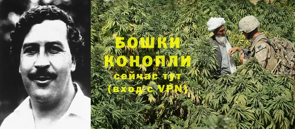 каннабис Алзамай