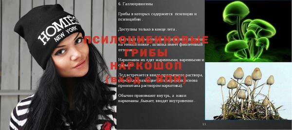 каннабис Алзамай