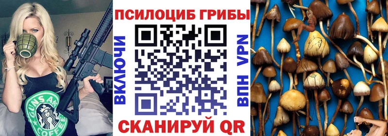 наркота  Омутнинск  мега онион  Галлюциногенные грибы GOLDEN TEACHER 